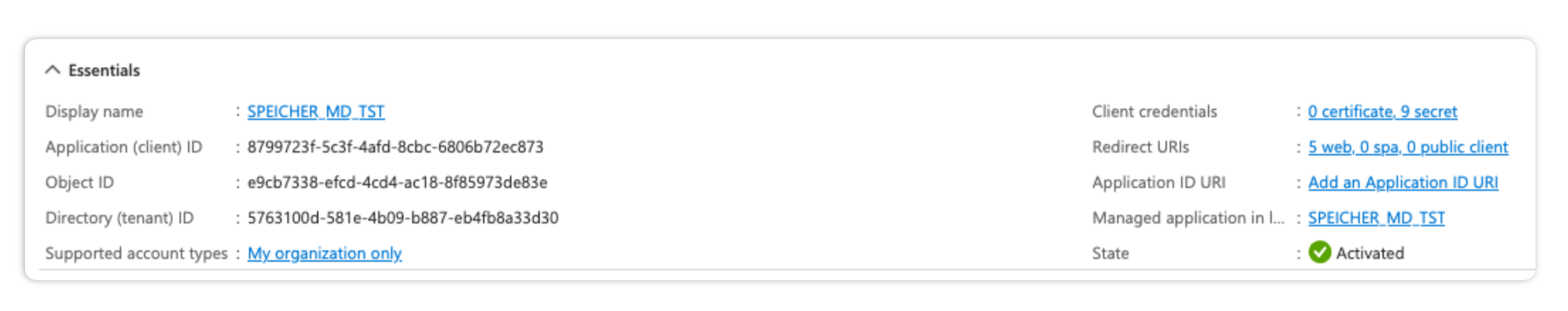 Screenshot: Entra ID Application Overview